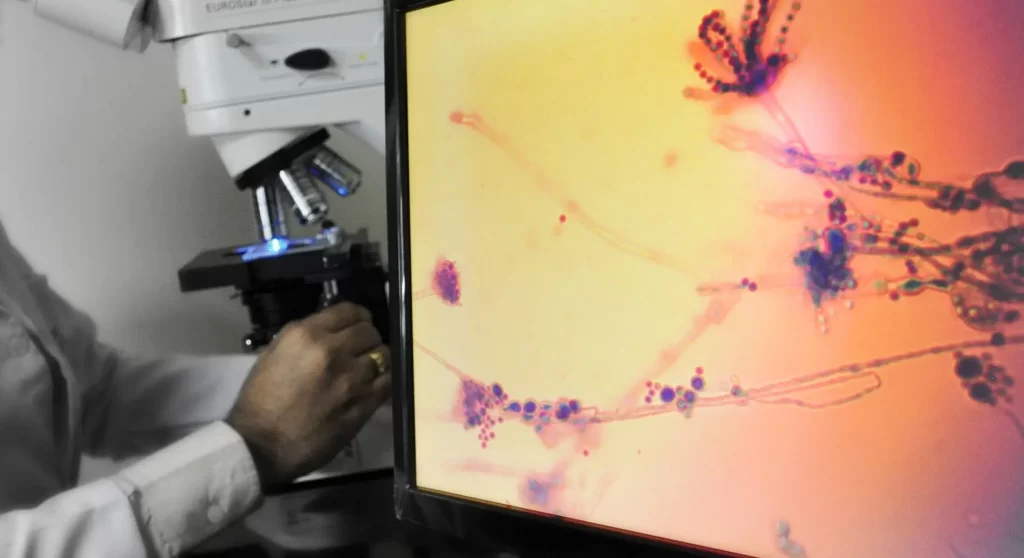 Dr Shetty's Passion for Research